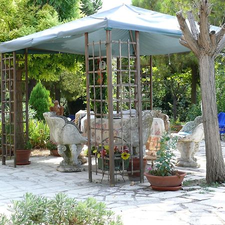 Bed&Breakfast Giardino Agritourist Controguerra Exterior photo